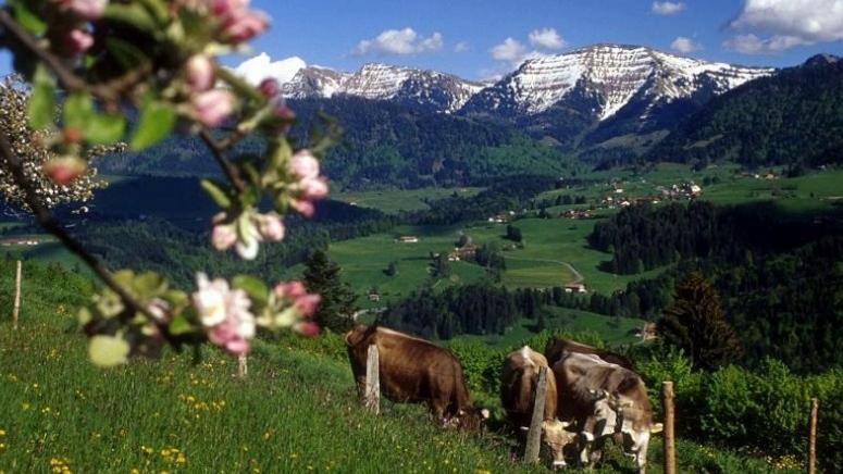 Fewo Alpenbrise, Oberstaufen Buitenkant foto